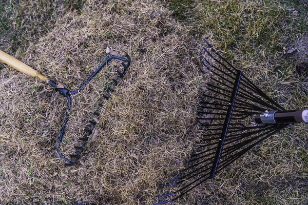 겨울이 지나면 마당에서 풀을 뜯고 죽은 풀을 쌓아 놓는다 — 스톡 사진