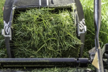 Elektrikli çim biçme makinesi.