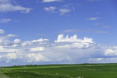 Alberta 'da yaz aylarında gökyüzünde bulutlar olan açık alanlar.