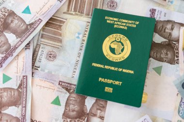 Nijerya Ecowas Pasaportu Nijerya Naira 'sının üstünde