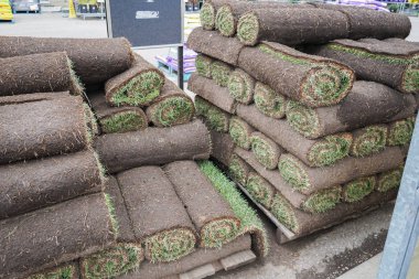 Bir nalbur dükkanının önünde çimen ruloları sergileniyor.