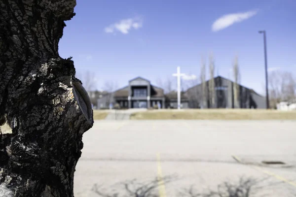 Chiesa edificio con croce sfocata dietro l'albero — Foto Stock