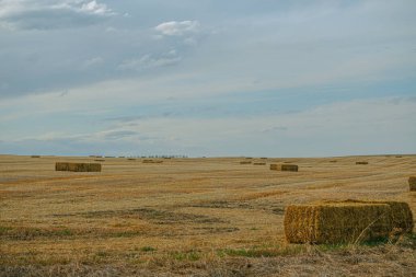 Bir tarlada saman balyaları