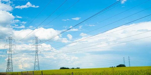 Líneas eléctricas sobre una granja de canola en Aberta, Canadá —  Fotos de Stock