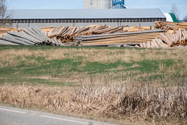 Tronchi di legno di fronte ad una segheria — Foto Stock