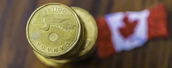 Kanada bayrağı taşıyan 1 dolarlık Kanada Manyakları Yığını