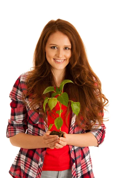 Attractive Beautiful young woman holds seedling isolated over wh — Stock Photo, Image