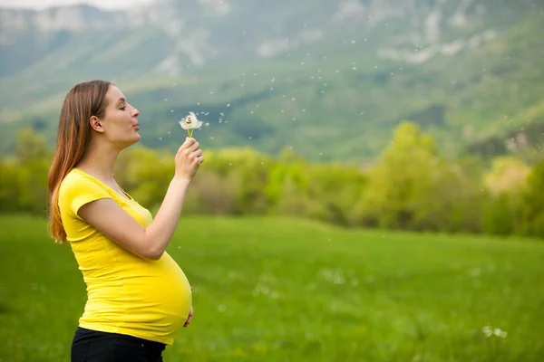 Giovane donna incinta che soffia semi di tarassaco su un prato — Foto Stock