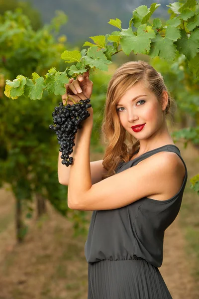 Beautiful young woman in vineyard holding a grape — Stock Photo, Image