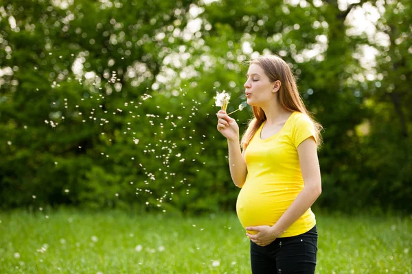 Giovane donna incinta che soffia semi di tarassaco su un prato — Foto Stock