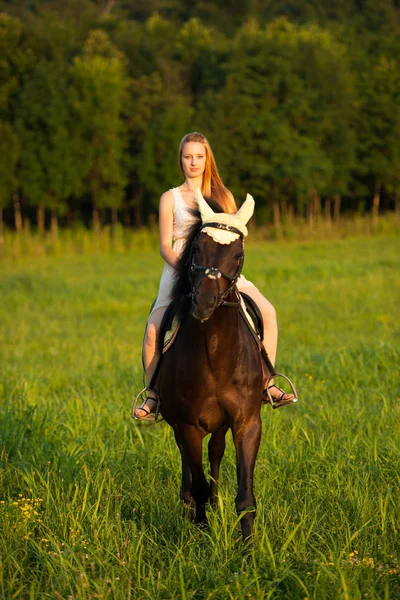Ενεργό Νεαρή Γυναίκα Ιππεύω Ένα Άλογο Στη Φύση — Φωτογραφία Αρχείου