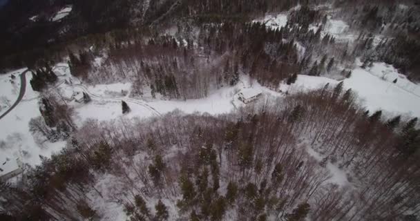 雪后冬季森林鸟瞰图 — 图库视频影像