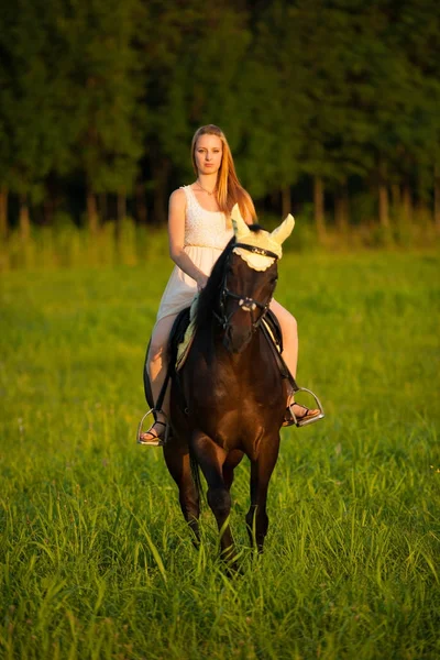 Giovane donna attiva cavalcare un cavallo nella natura — Foto Stock