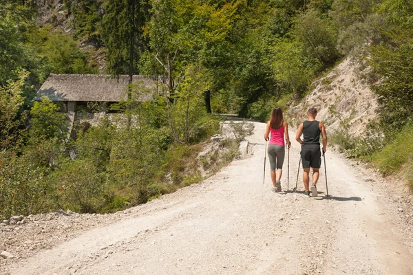 Pareja joven activa en una caminata en el bosque en un día caluroso de verano —  Fotos de Stock