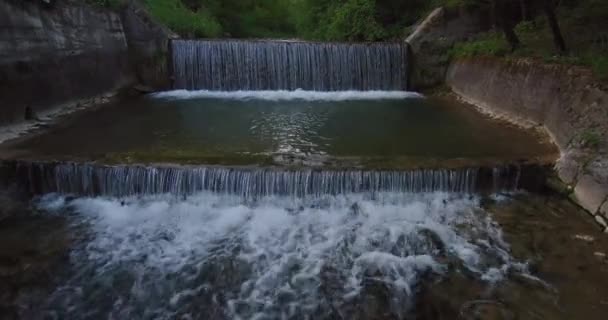 Waterfal Pequeño Río Borde Del Bosque — Vídeo de stock
