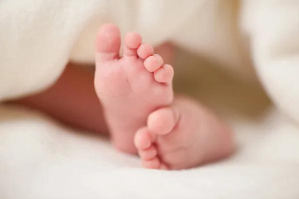 Pequenos pés de bebê — Fotografia de Stock