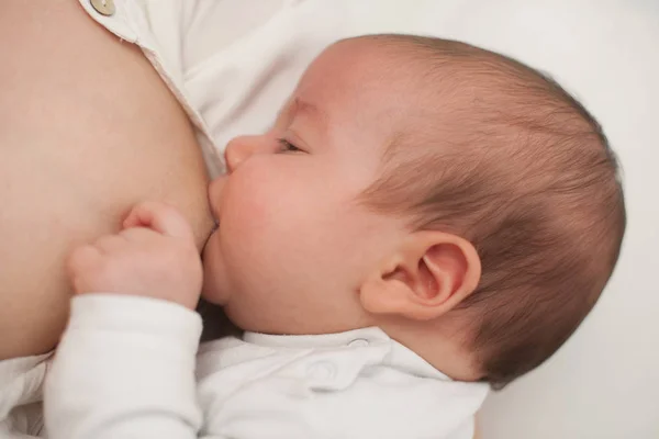 Allattamento al seno - bambino di 3 mesi allattato al seno — Foto Stock