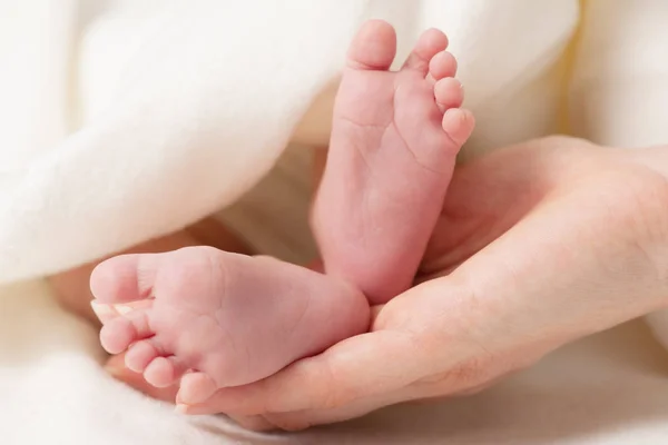 Piccoli piedi bambino in mani mamme — Foto Stock