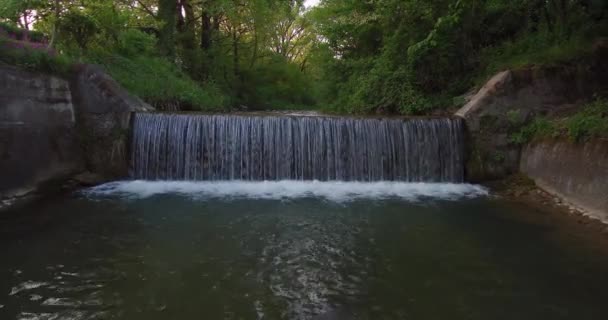 在森林边缘的一条小河上看到瀑布的鸟图 — 图库视频影像