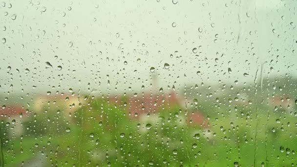 Dia Chuvoso Gotas Chuva Copo Janela Dia Chuvoso — Vídeo de Stock