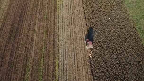 Traktördeki Çiftçi Tarlalarda Arazi Hazırlıyor Yukarıdan Aşağıya Beyaz Traktör Tarlaları — Stok video