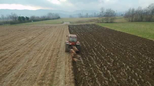 Farmer Tractor Preparing Land Farmlands Top View White Tractor Plowing — Stock Video