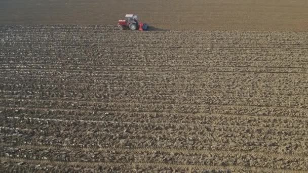 Aerial View Tractor Cultivating Land — Stock Video