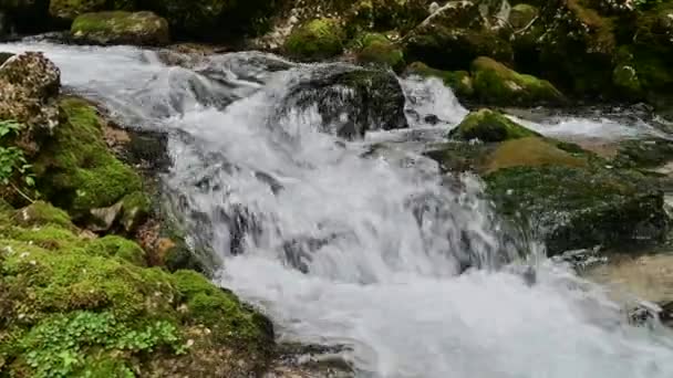 早春に森の中を流れる素晴らしい淡水急流の滝 — ストック動画