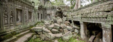 panoramik ta Prohm Tapınağı Kamboçya