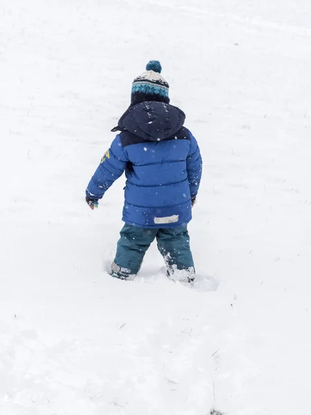 在雪的公园里漫步 — 图库照片