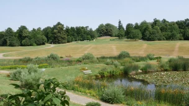 Pelouse verte et arbres dans un parc paisible 