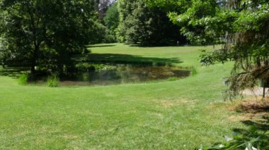 Taze çimleri olan Huzurlu Bahçe
