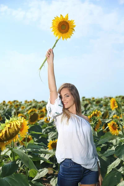 春のひまわり畑で気楽な夏の女性 — ストック写真