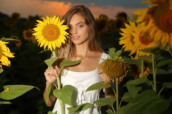 Beautiful young woman in sunflower field in white dress at sunset