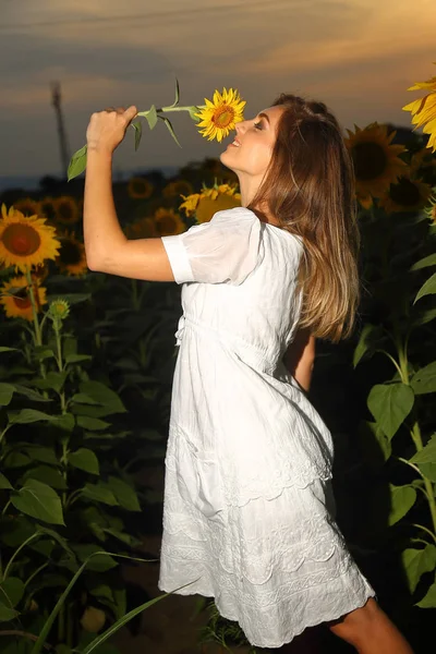 Glückliche Unbeschwerte Sommerfrau Sonnenblumenfeld Frühling — Stockfoto