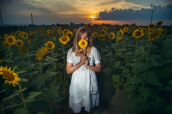 Krásná Mladá Žena Slunečnicovém Poli Bílých Šatech Při Západu Slunce — Stock fotografie