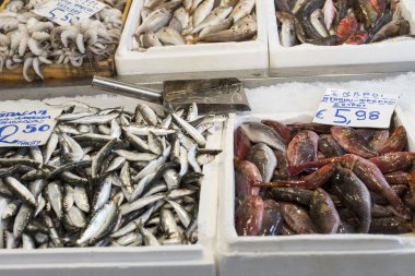 Çeşitli balık ve deniz ürünleri yerel Yunanistan pazarında.