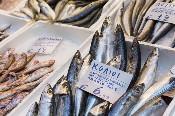 Variedade de peixes e frutos do mar no mercado local da grécia . — Fotografia de Stock