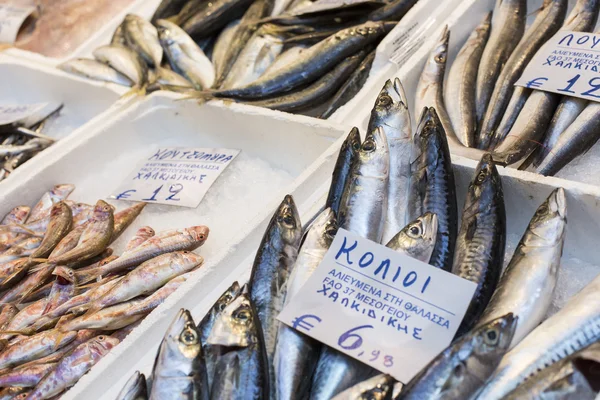 Variedad de pescado y marisco en el mercado griego local . — Foto de Stock