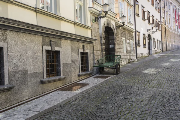 LJUBLJANA, SLOVÉNIE - 24 SEPTEMBRE 2016 : Belle rue à ol — Photo