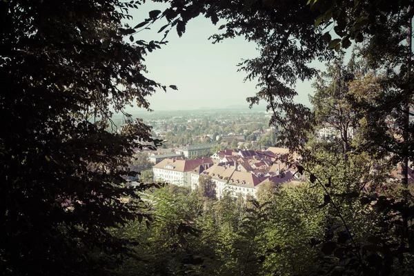 Město Lublaň a zelená krajina, hlavní město S — Stock fotografie