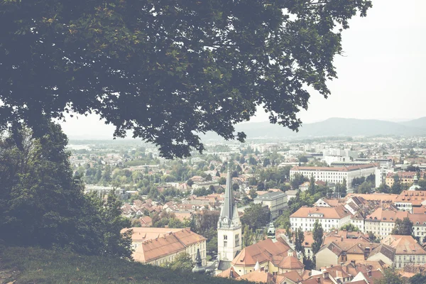 Ciudad de Liubliana arquitectura y paisaje verde, capital de S — Foto de Stock