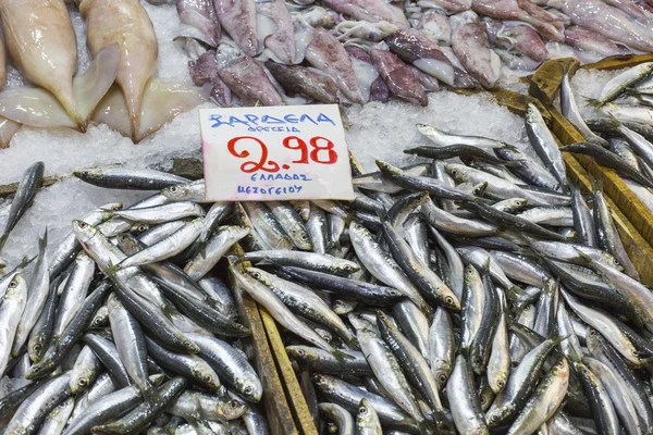 Variedad de pescado y marisco en el mercado griego local . —  Fotos de Stock