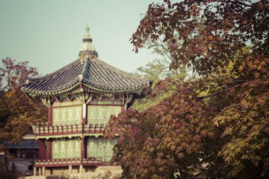 Kore, Seul 'deki Gyeongbokgung Sarayı' nda sonbahar..