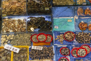 Noryangjin balıkçılık Wholesale Market, geniş toptan ve re