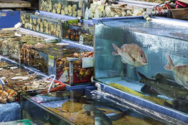 Noryangjin balıkçılık Wholesale Market, geniş toptan ve re