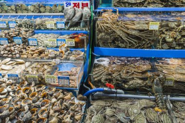 Noryangjin balıkçılık Wholesale Market, geniş toptan ve re