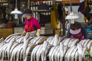 Busan - 27 Ekim 2016: Taze balık ve deniz ürünleri Jagalchi FIS