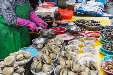 Busan - 27 Ekim 2016: Taze balık ve deniz ürünleri Jagalchi FIS