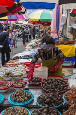 Busan - 27 Ekim 2016: Taze balık ve deniz ürünleri Jagalchi FIS